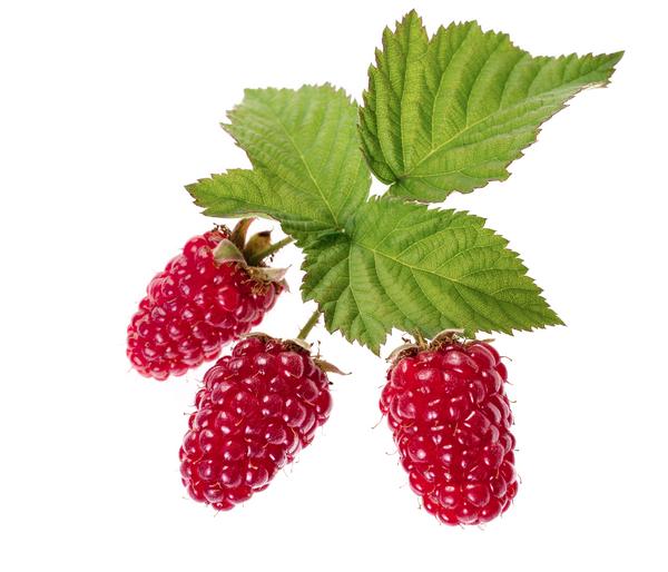Brombeer-Set Brombeer-Bowl, 4-teilig