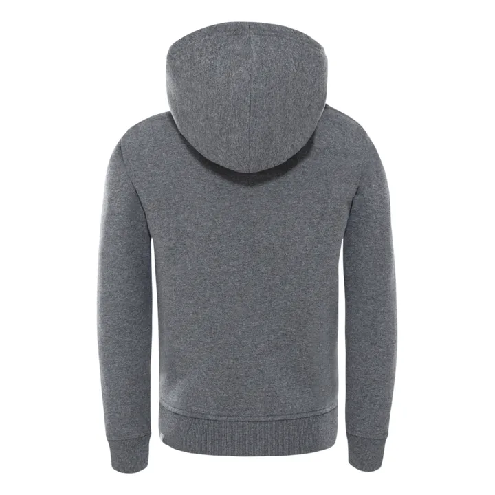 The North Face Hoodie | Gris