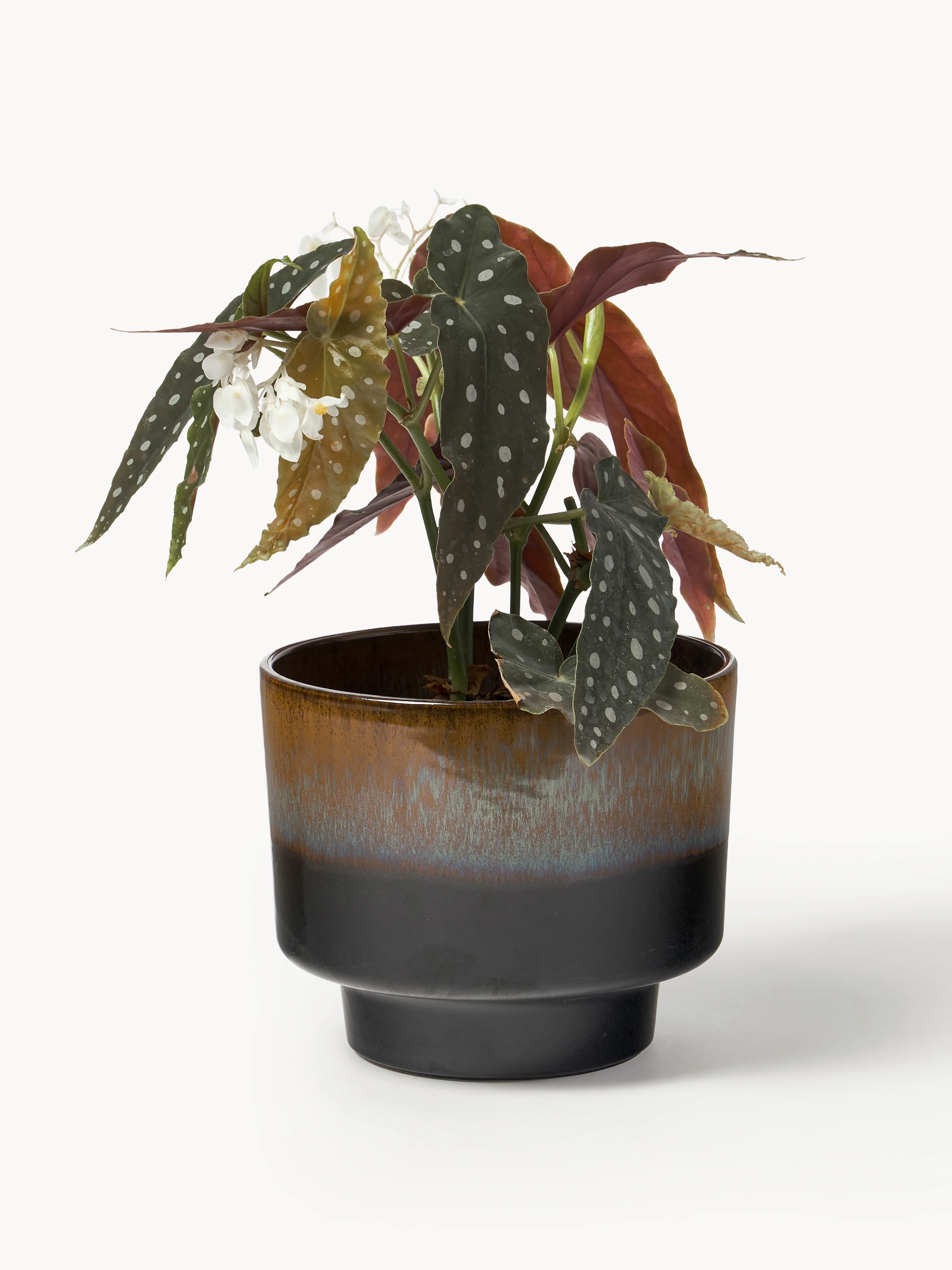 Geglazuurde plantenpot Solis, H 17 cm
