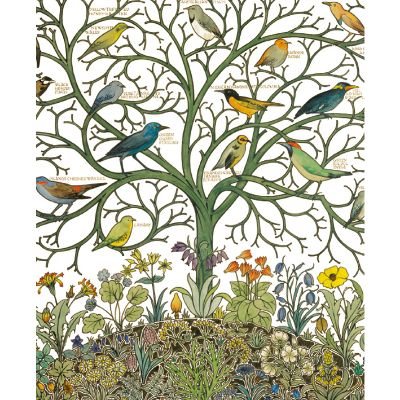 Birds Of Many Climes Card