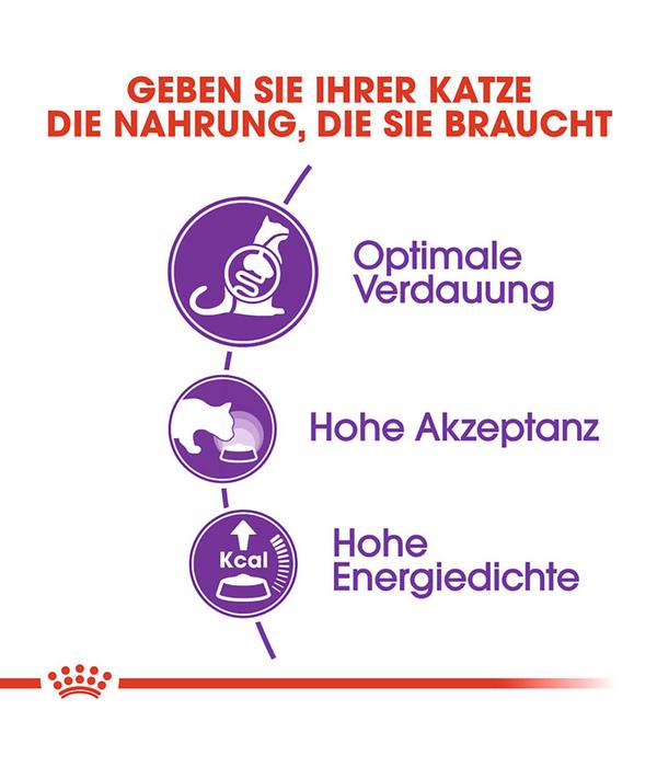 ROYAL CANIN® Trockenfutter für Katzen