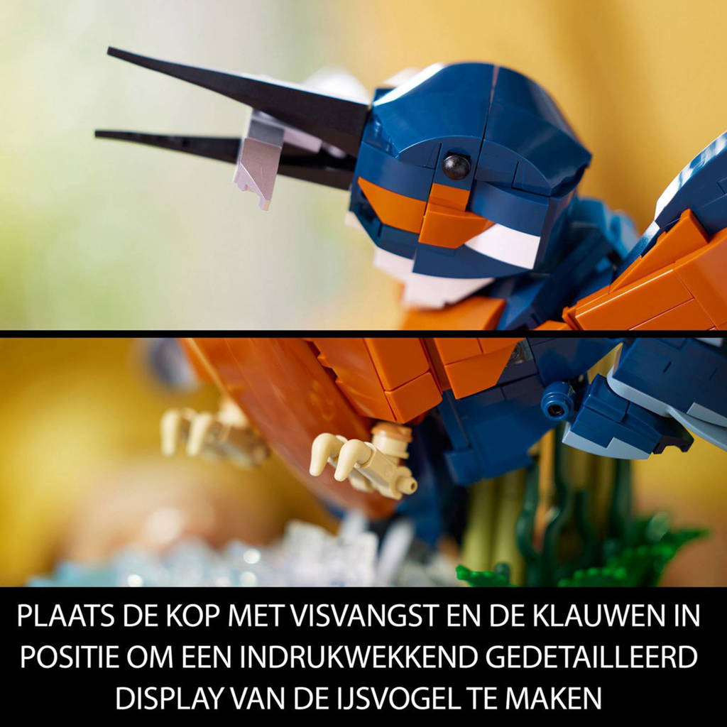 Top setje!IJsvogel 10331