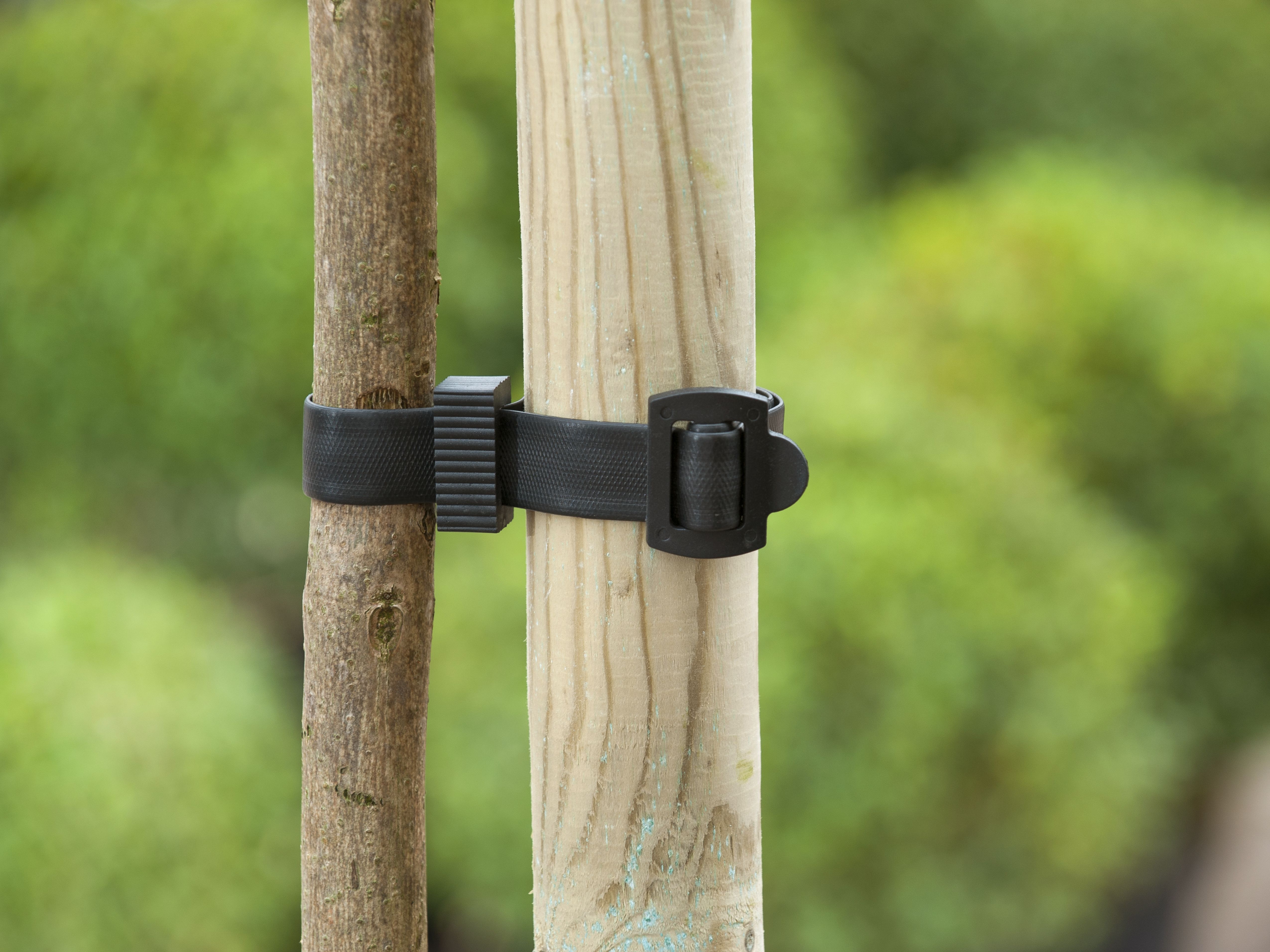 Nature Boomband - 45x2.5cm - Touw en Bindmaterialen - 22.5x10x3 cm