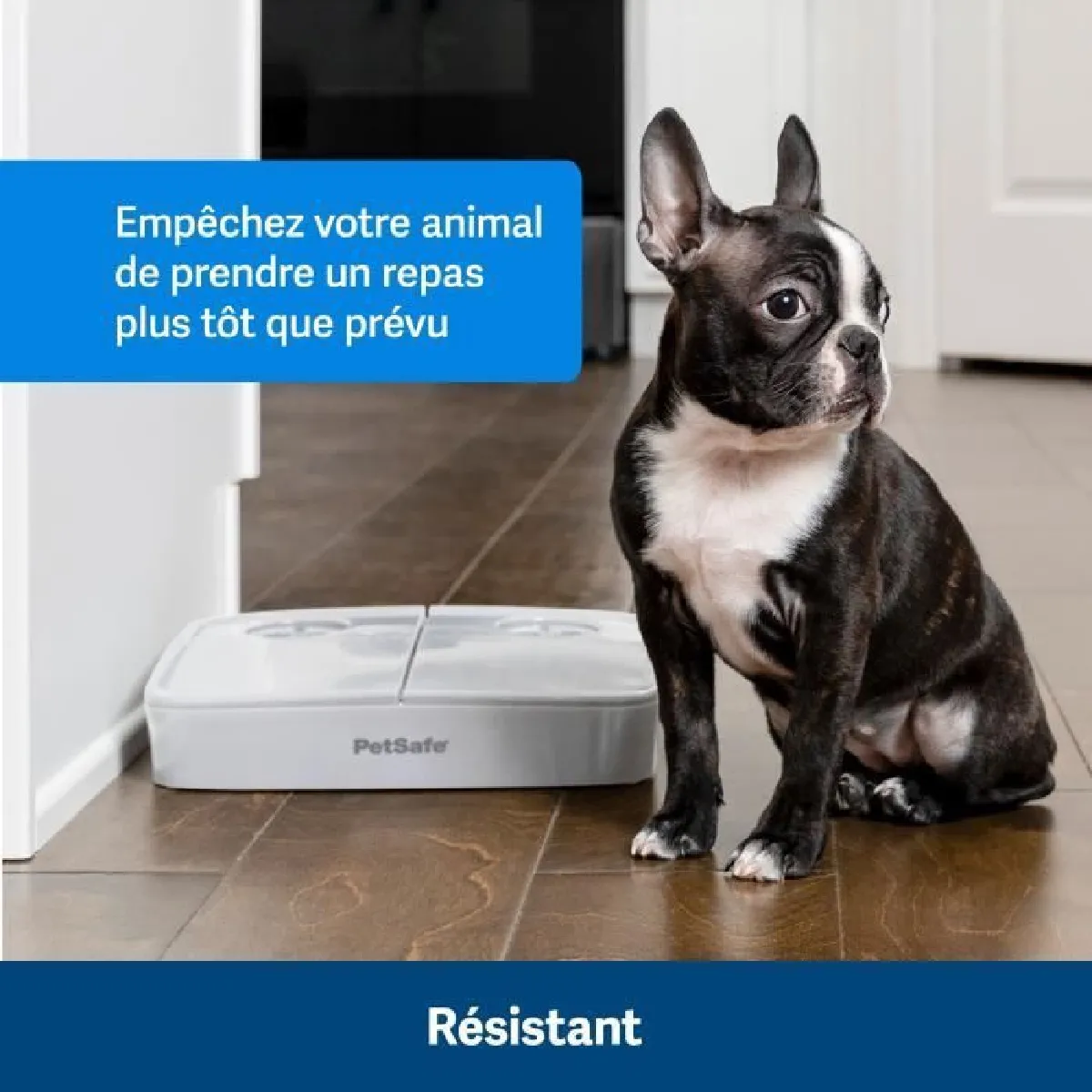 DistriButeur Automatique PETSAFE - 2 Repas