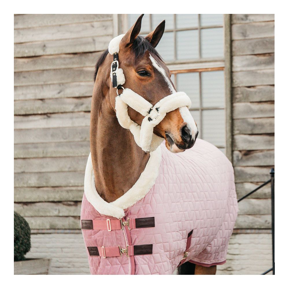 Kentucky VELVET 160G - Couverture de présentation old rose