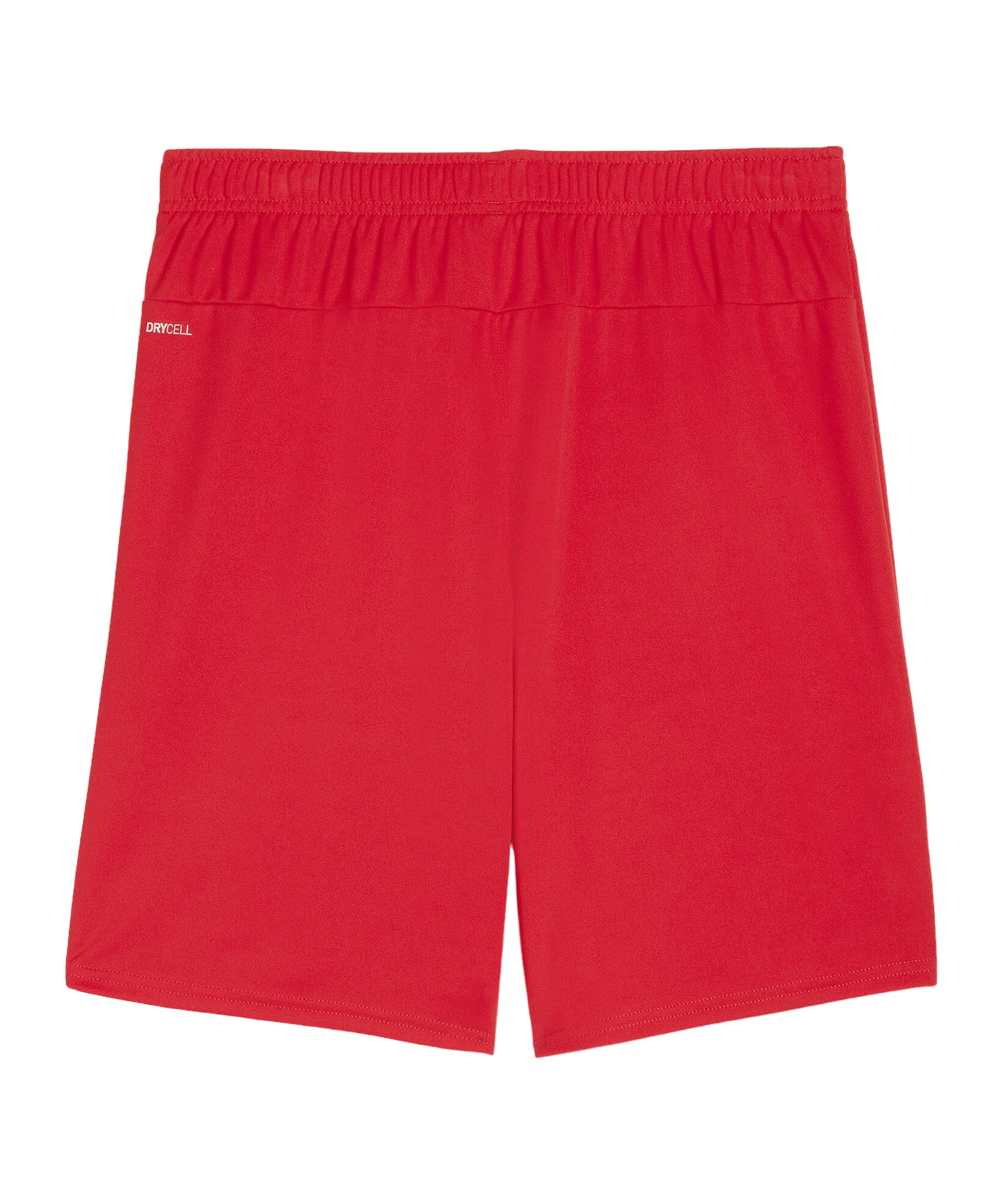 PUMA teamGOAL Short Rot Weiss F01