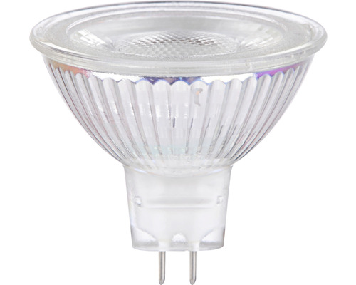 FLAIR LED reflectorlamp dimbaar MR16 GU5.3/3W (22W) 230 lm 6500 K daglichtwit 12V 36°