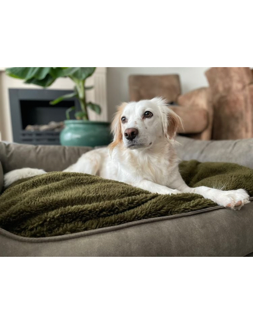 Maxxnobel Orthopedische Sofa Lederlook\/Teddy Olijfgroen - Hondenbank