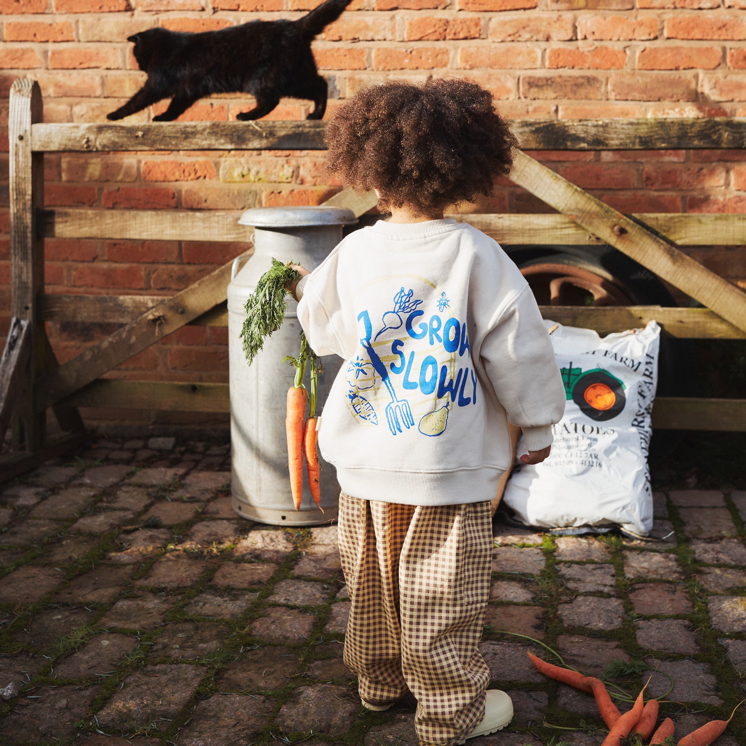 Sweatshirt Carner Cream