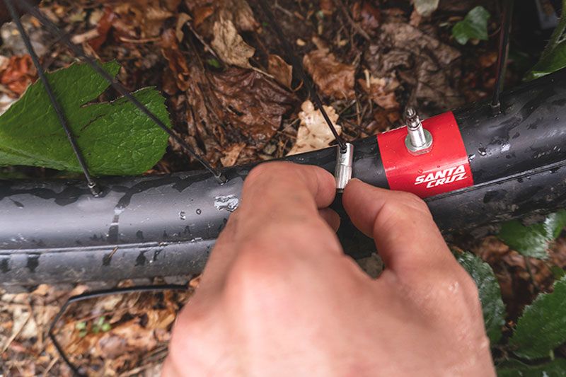 Peaty's Chris King MK2 Tubeless 42mm Ventile kaufen | Bike-Discount