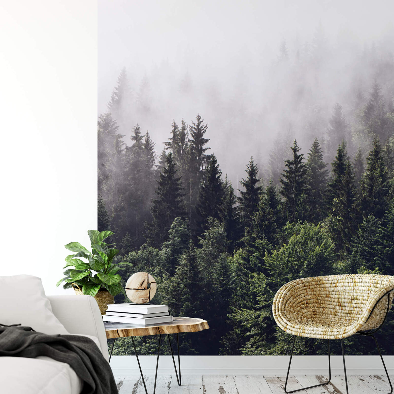 Fototapete DESIGNWALLS 2.0 - grün-weiß - Wald - 2,6 Meter
