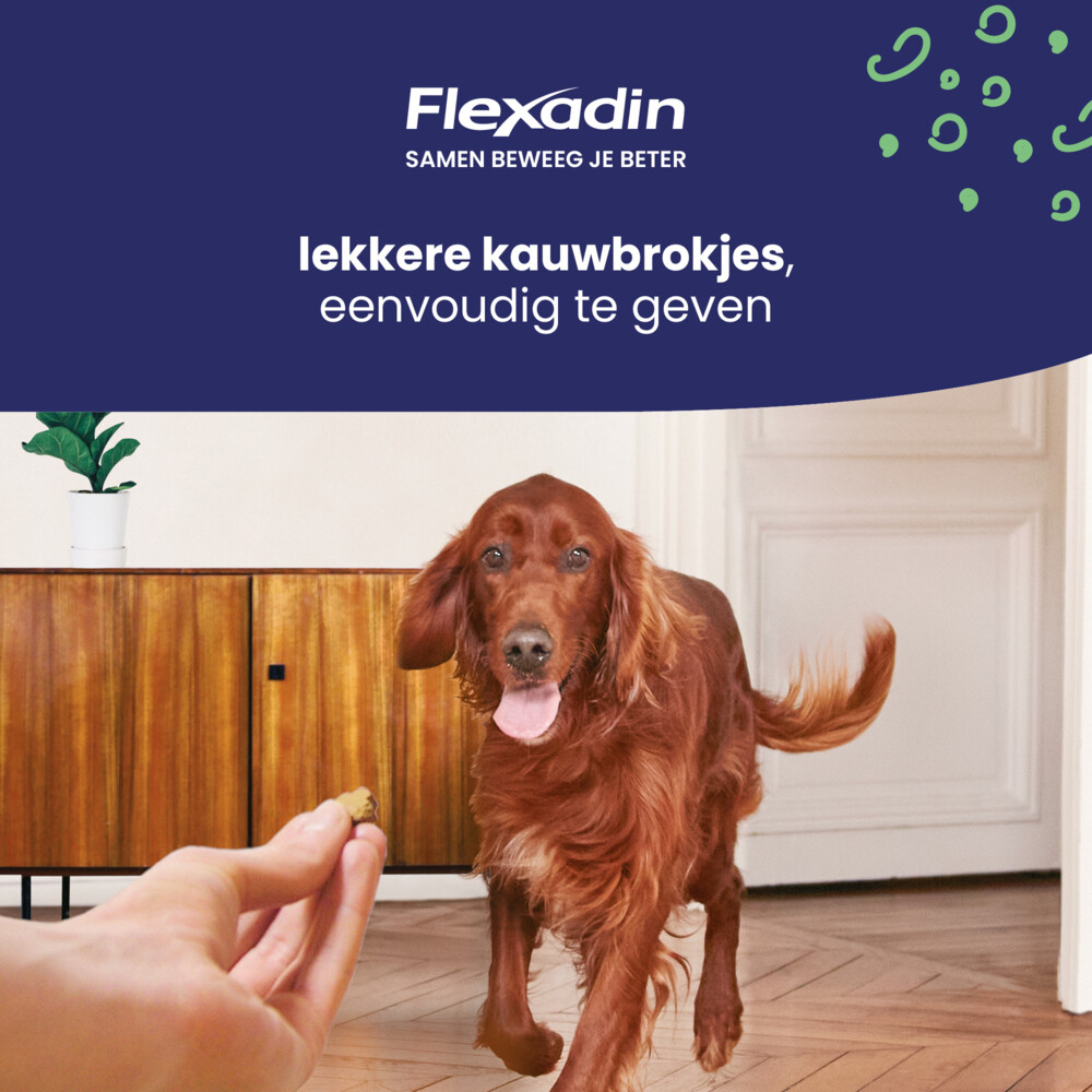 Flexadin Young Dog Mini Kauwbrokjes60 stuks