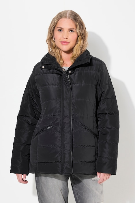 Steppjacke mit leichter Wattierung, Stehkragen, Eingriffstatschen, langarm