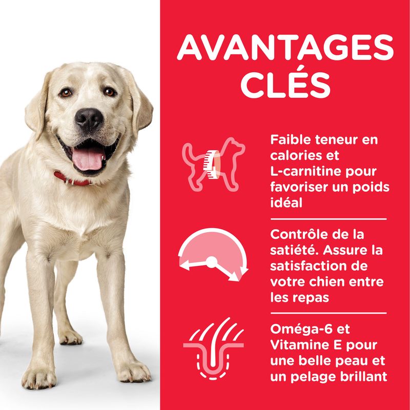 Hill's Science Plan Adult 1-5 Light Large poulet à Prix Discount | bitiba.fr