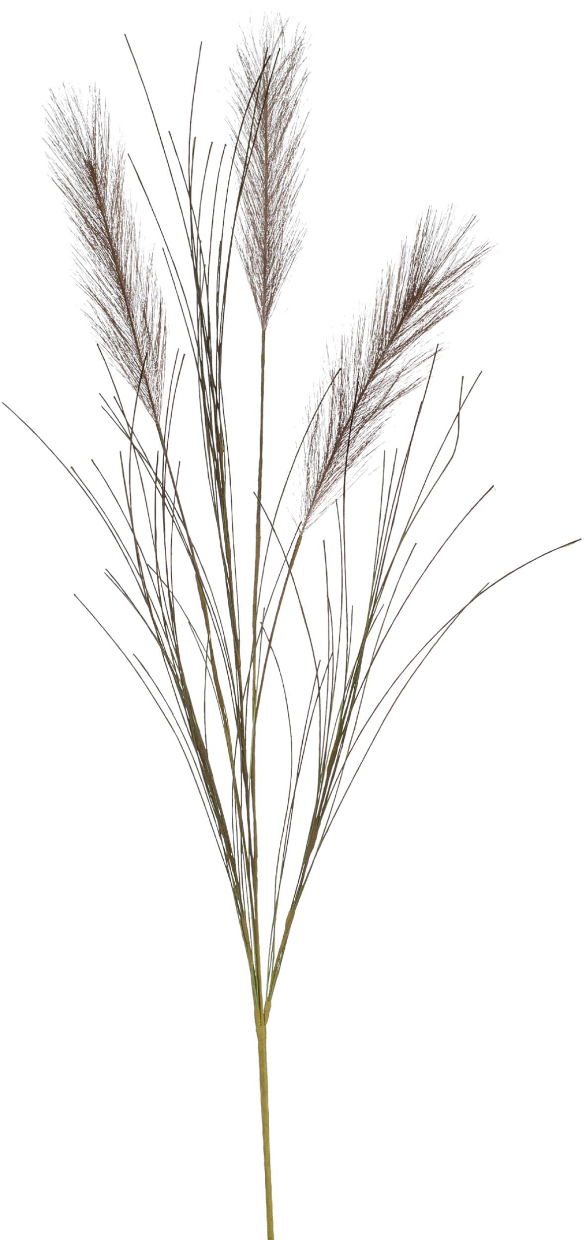 Pampas Kunstig plante 70 cm