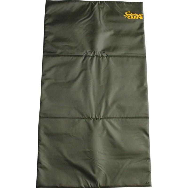 Tapis De Reception Specimen Carpe
