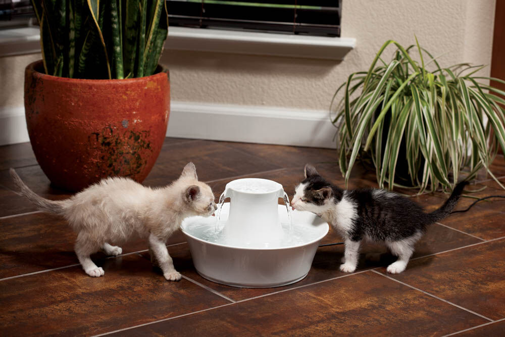 Petsafe Avalon - Keramische drinkfontein - Wit - 31x23x23 cm