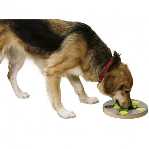 Brinquedo de interação para cães, cinza e verde.