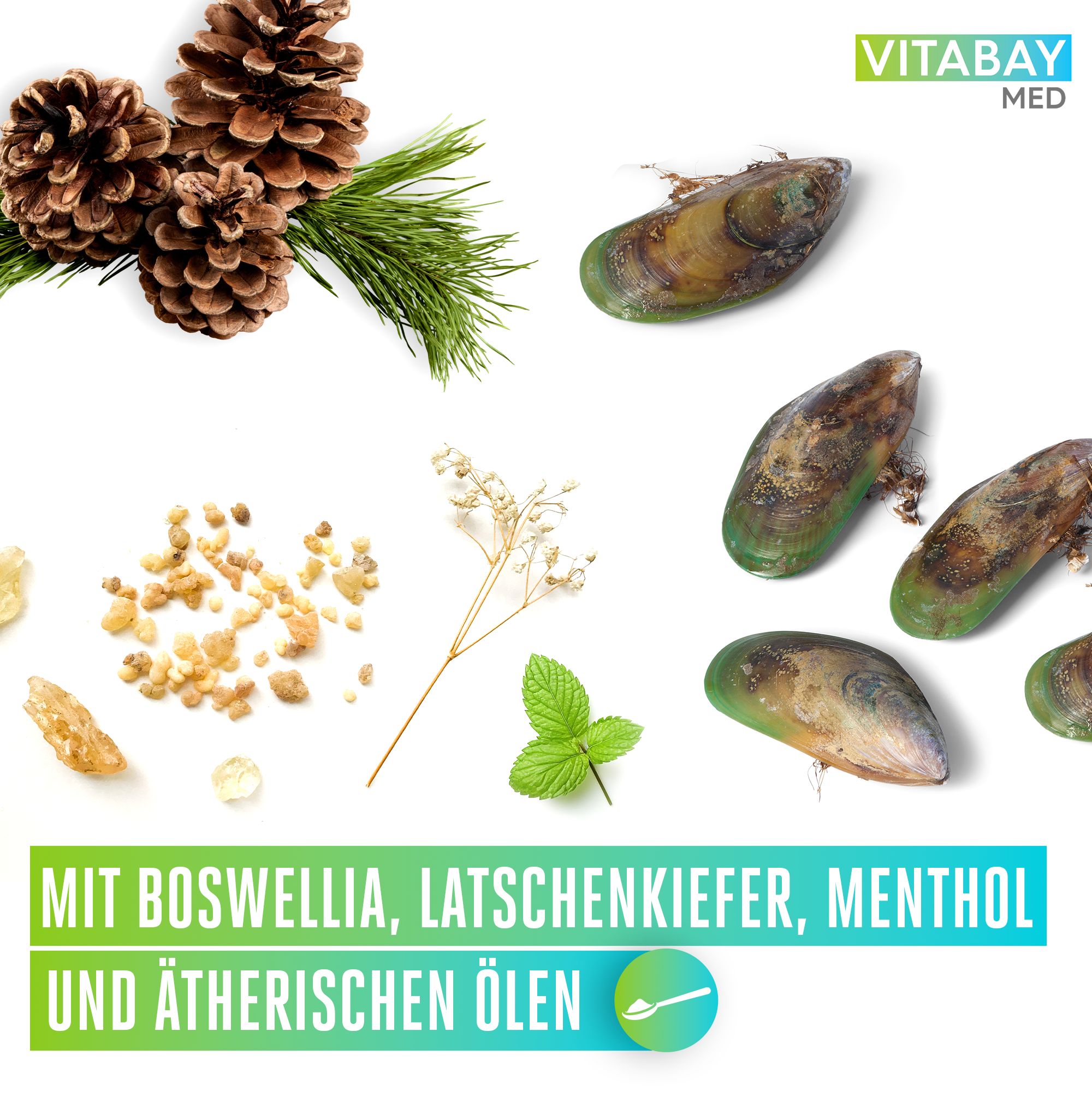 Vitabay Grünlippenmuschel Balsam
