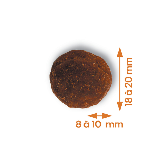 Croquettes Chien moyenne & grande taille au saumon sans céréales 12kg