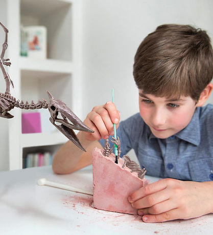 4M KidzLabs - Ausgrabung Pteranodon