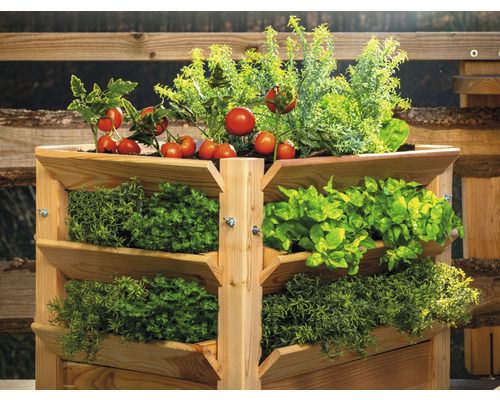 Klassieke verhoogde tuinbak WESTMANN Premium maat XL 90 x 65 x 73 cm naturel