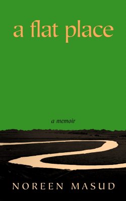 A Flat Place (Hardback)