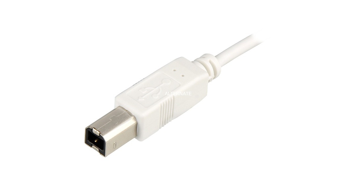 SharkoonUSB 2.0 Kabel, USB-A > USB-B  (Wit, 0,5 meter)