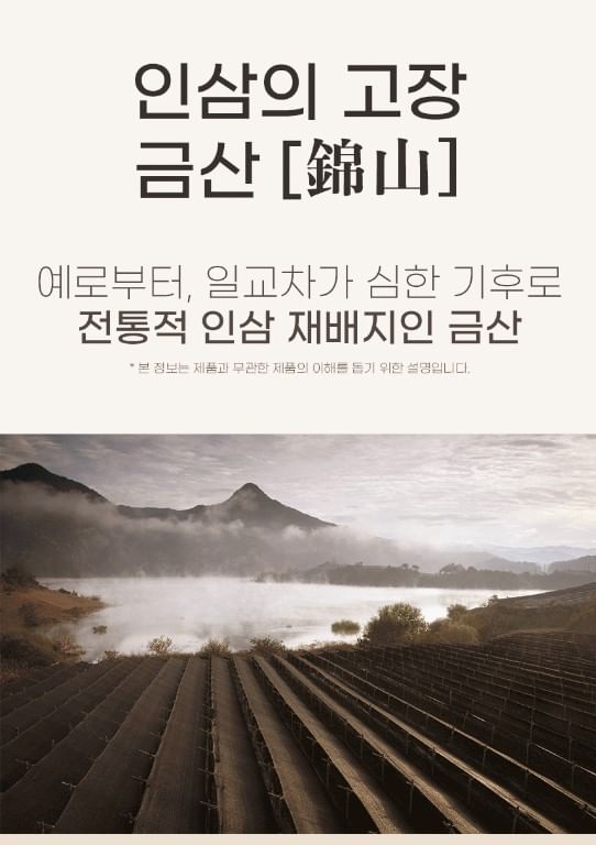 JUNGWONSAM - Koreaanse rode ginseng-extract 365 sticks bundelset