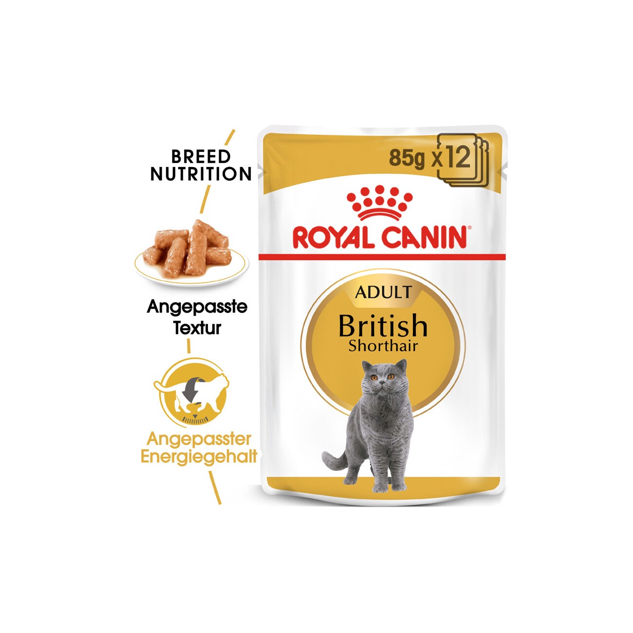 ROYAL CANIN British Shorthair Adult in Soße 12x85 g