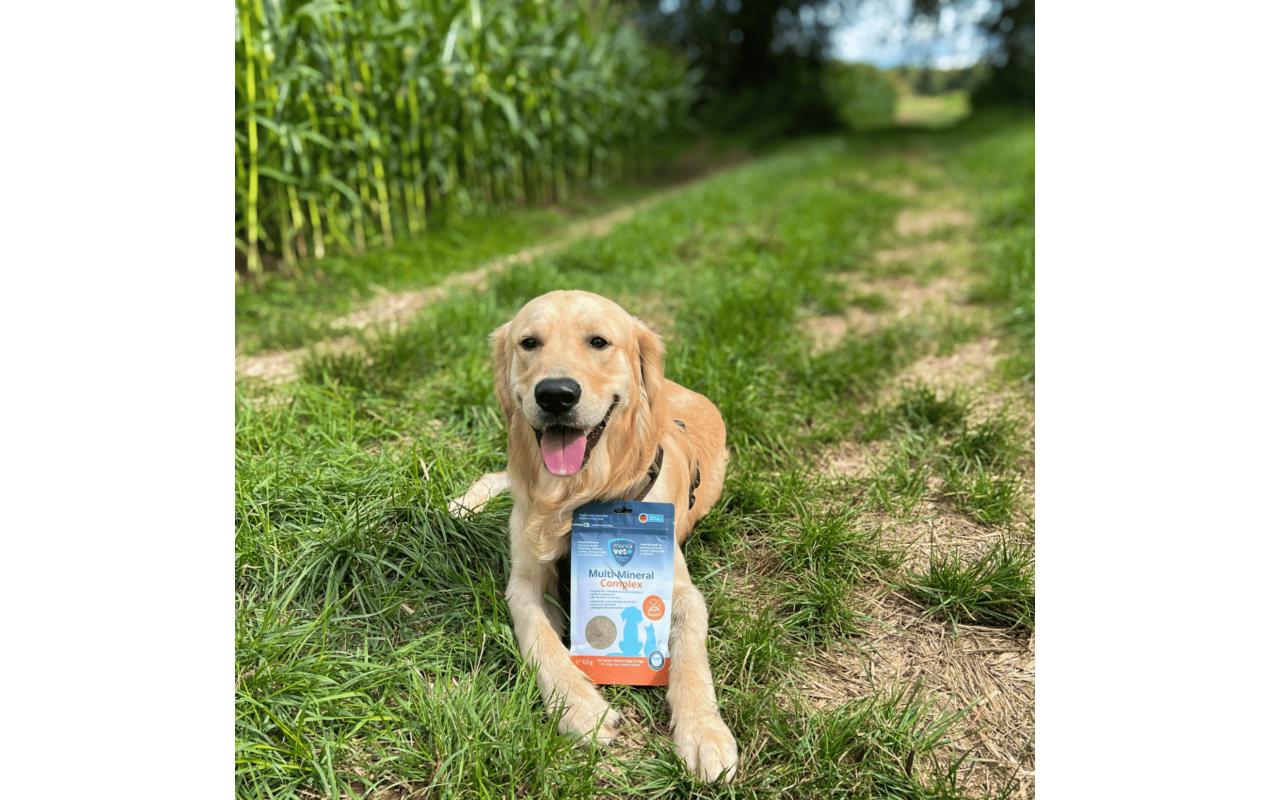 Hunde-Nahrungsergänzung Multi-Mineral Complex 125 gNatürliche Versorgung mit Vitaminen, Mineralstoffen, Omega 3 & Proteinen für Ihre Haustiere
