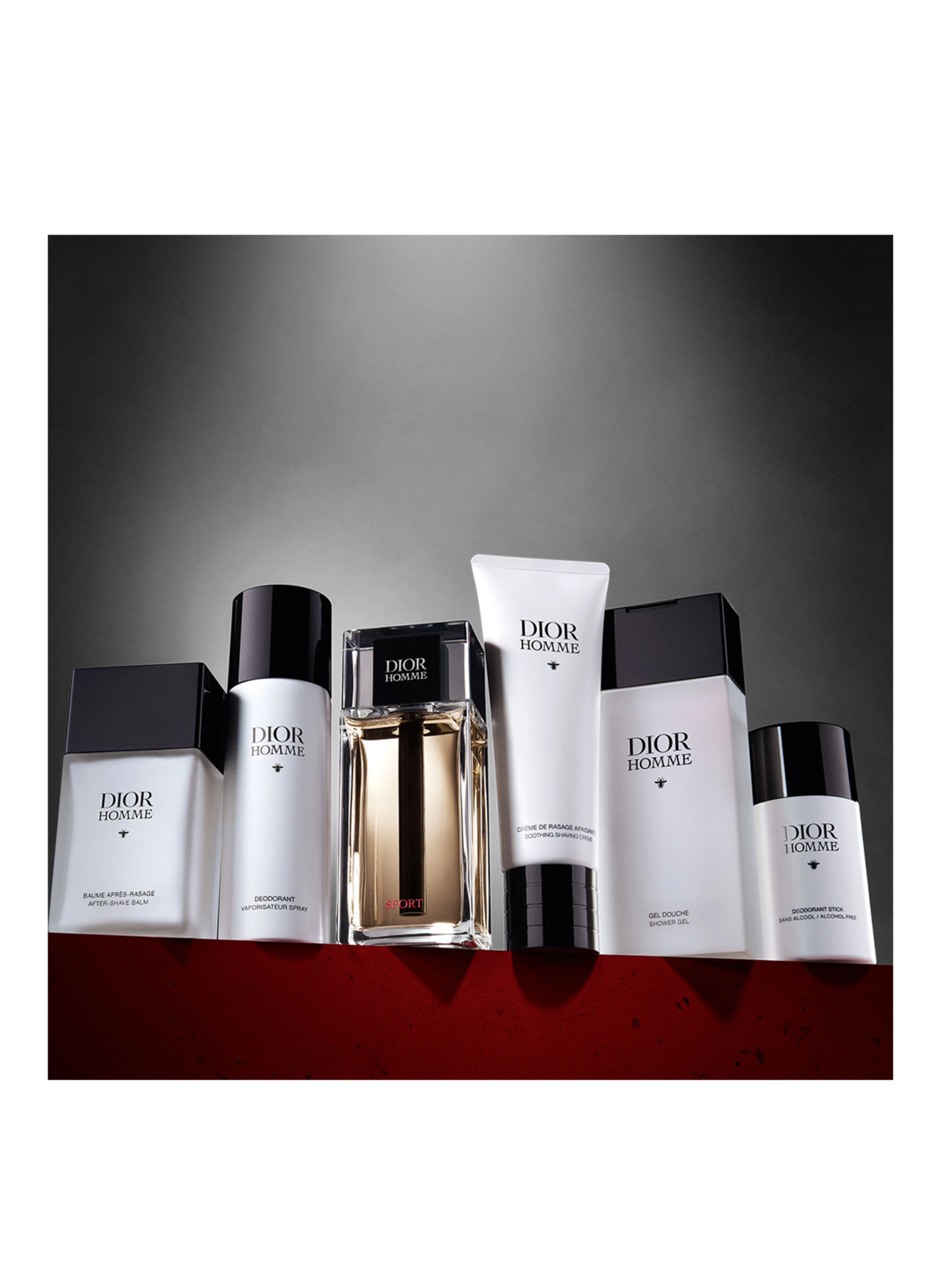 DIOR DIOR HOMME