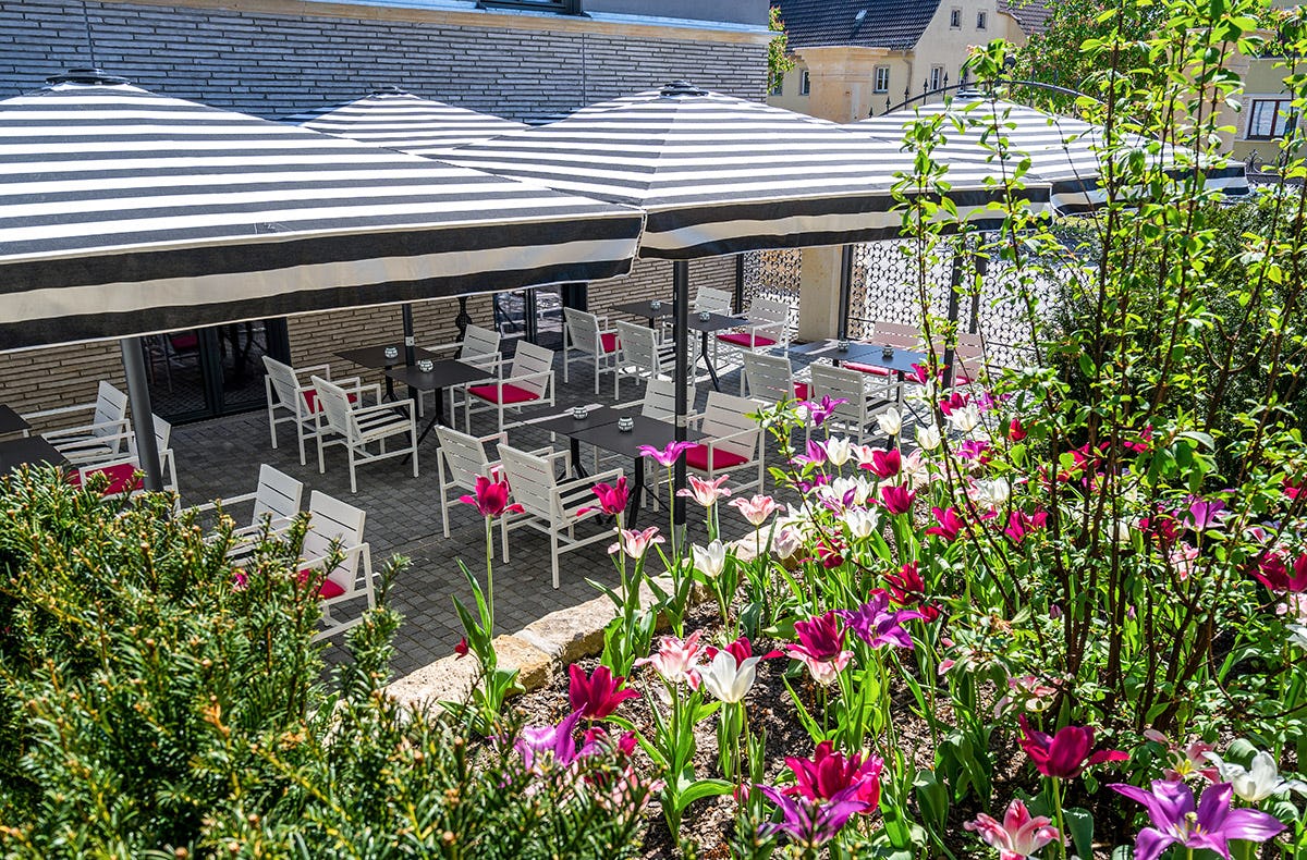 Genussabend Pirna