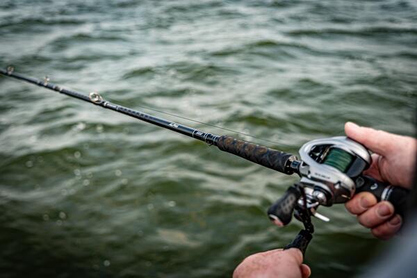 Canne Casting Savage Gear Alpha SG8 Monster