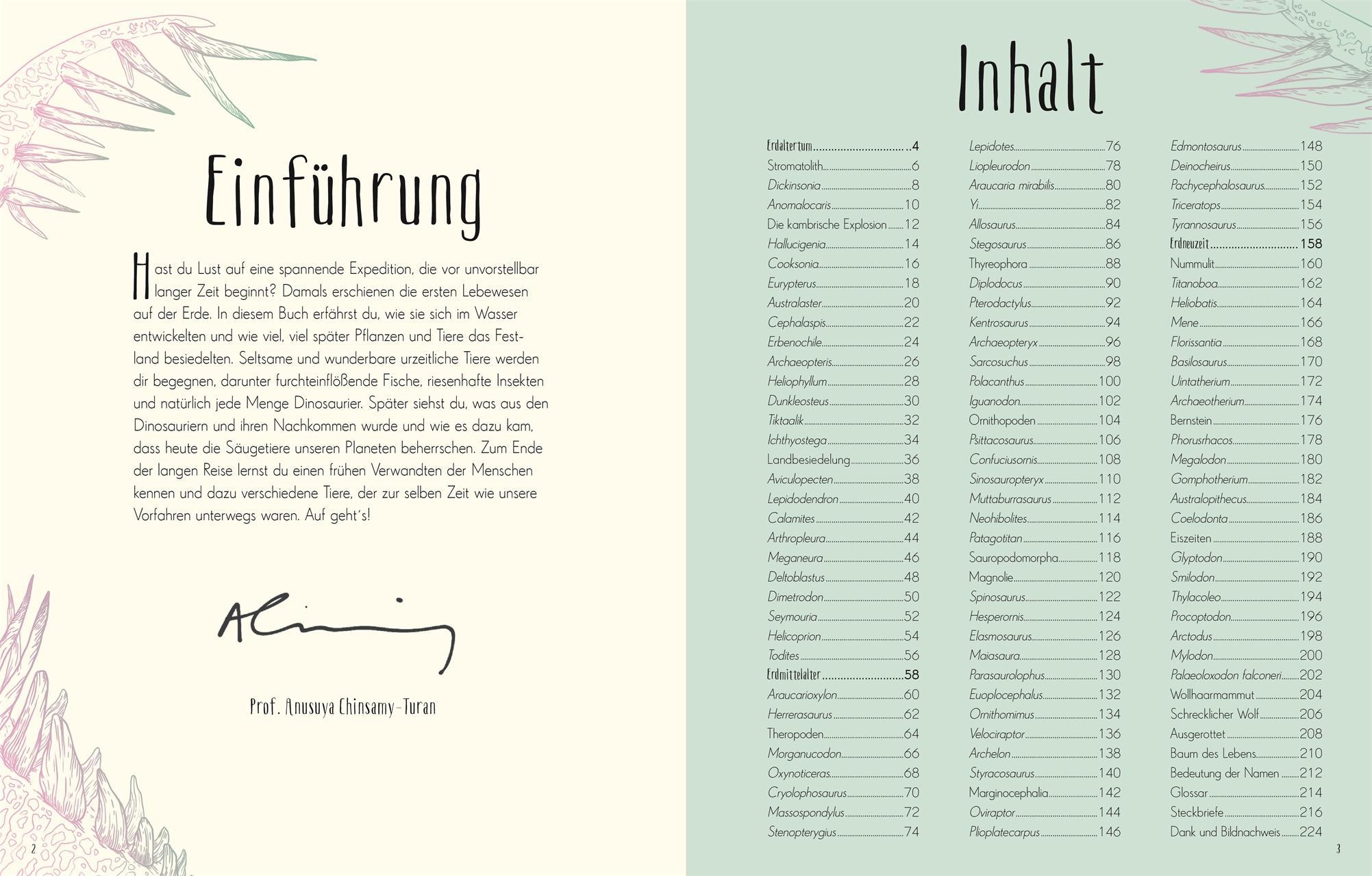 Wundervolle Welt der Dinosaurier und der Urzeit / Wundervolle Welt Bd.4