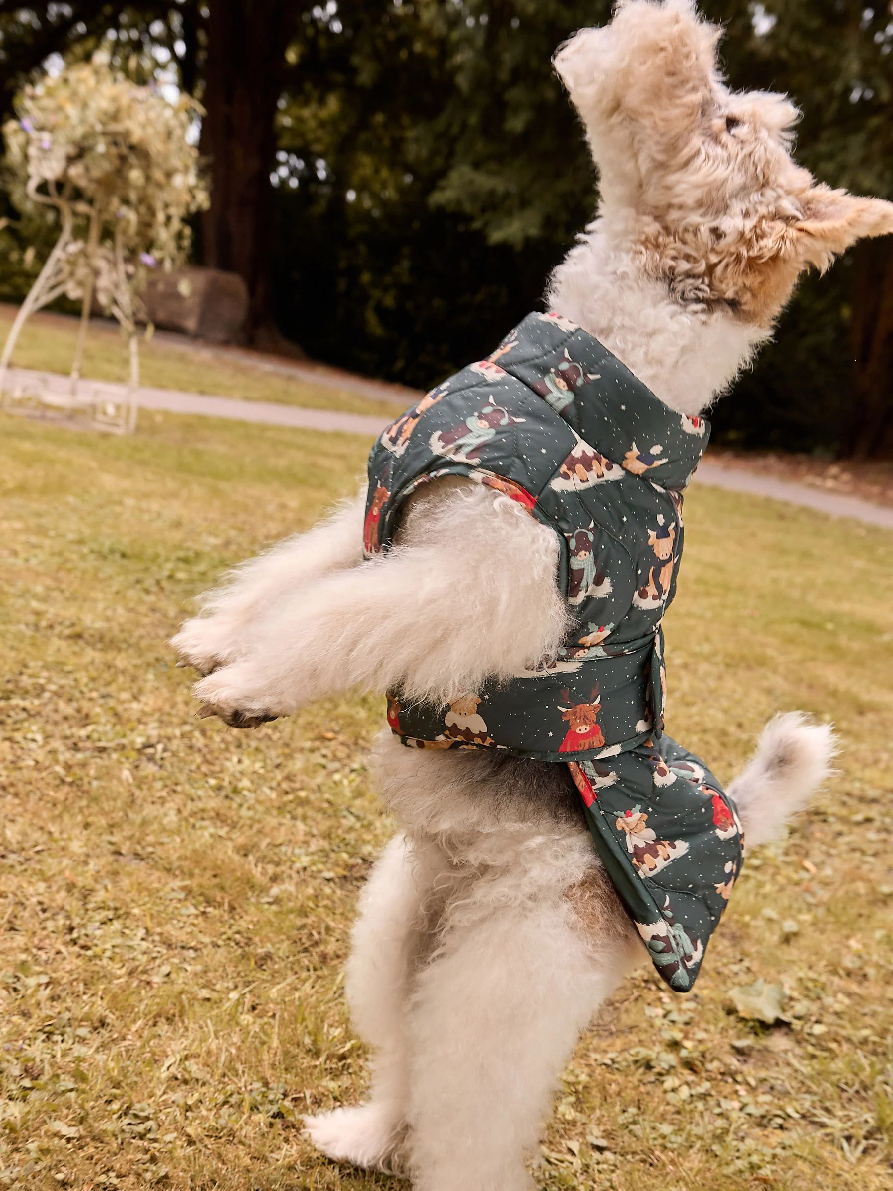 Hamish Print. - Kerstmis Gewatteerde Hondenjas
