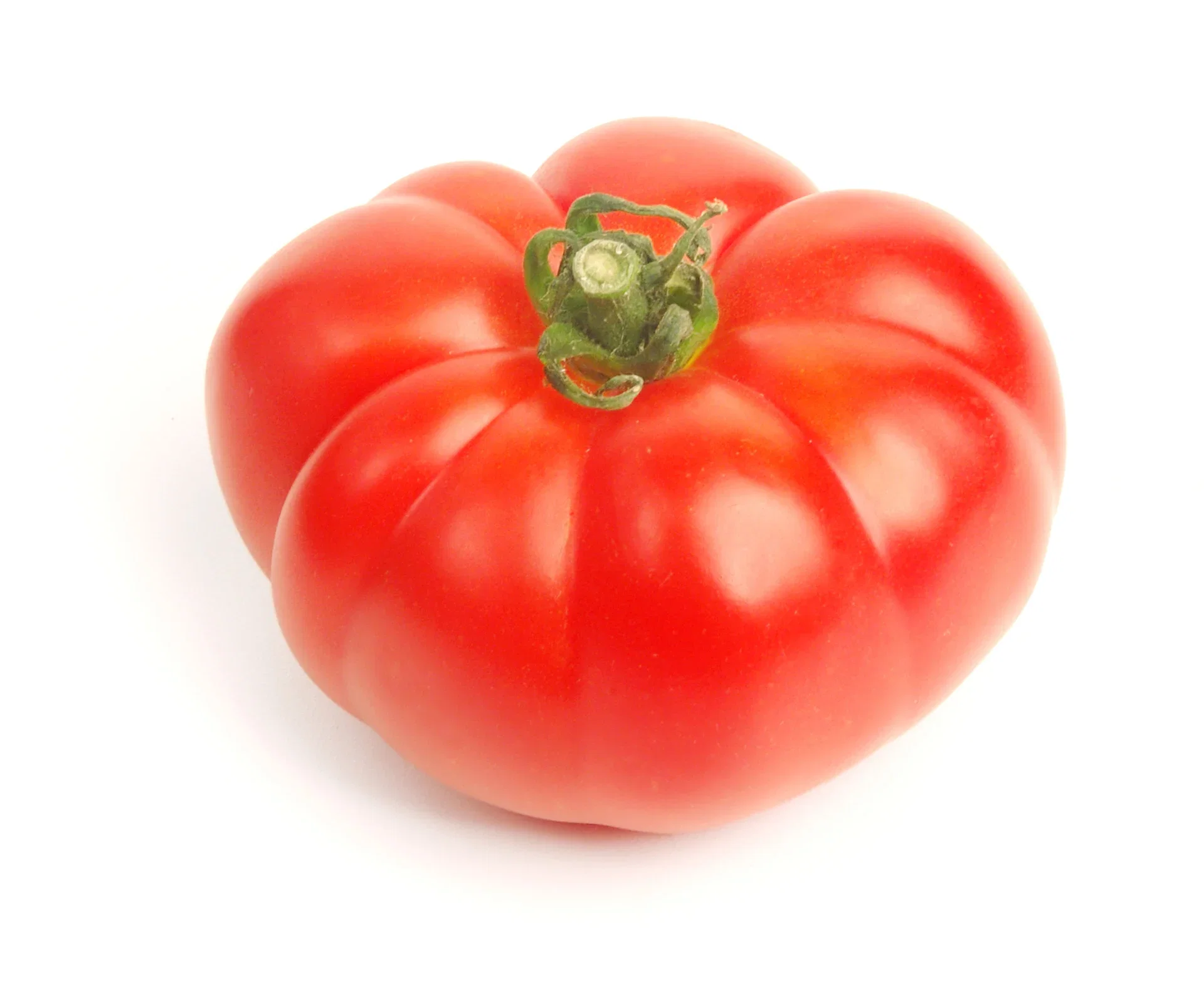 All Nature Lycopersicum biff  'Marmande' 10,5 cm Bifftomat ´Marmande´ Ø10,5 cm