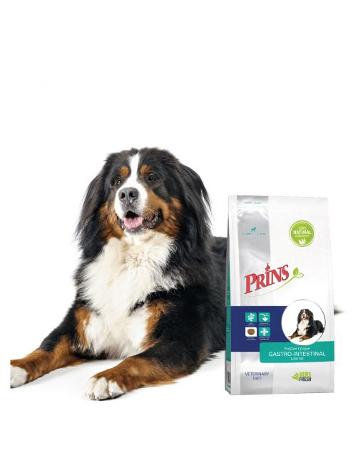Prins Procare Croque Diet Gastro-Intestinal Zalm - Hondenvoer