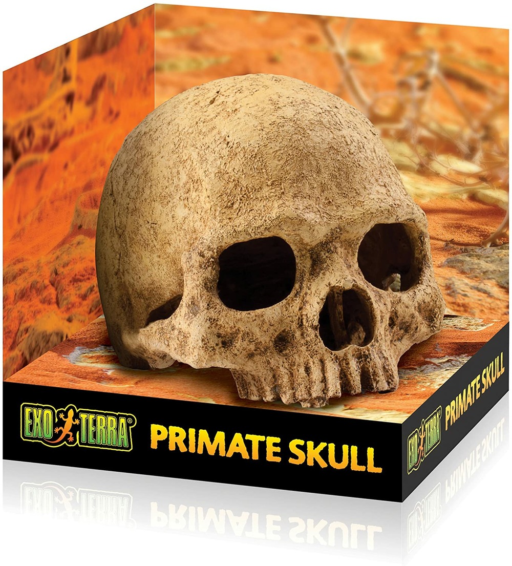 Crane primate décoration reptile amphibien grand