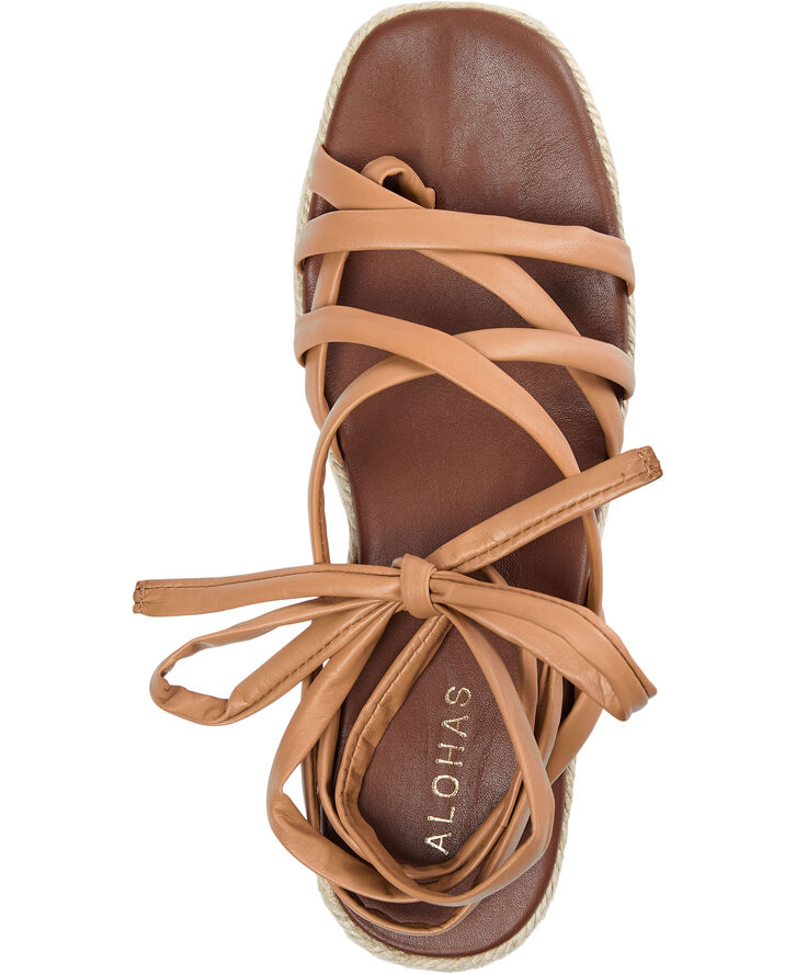ALOHAS Paw-Paw Camel Camel