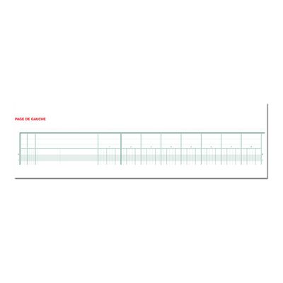 Exacompta - Piqûre comptable - 20 colonnes sur 2 pages - 25 x 32 cm - 80 pages