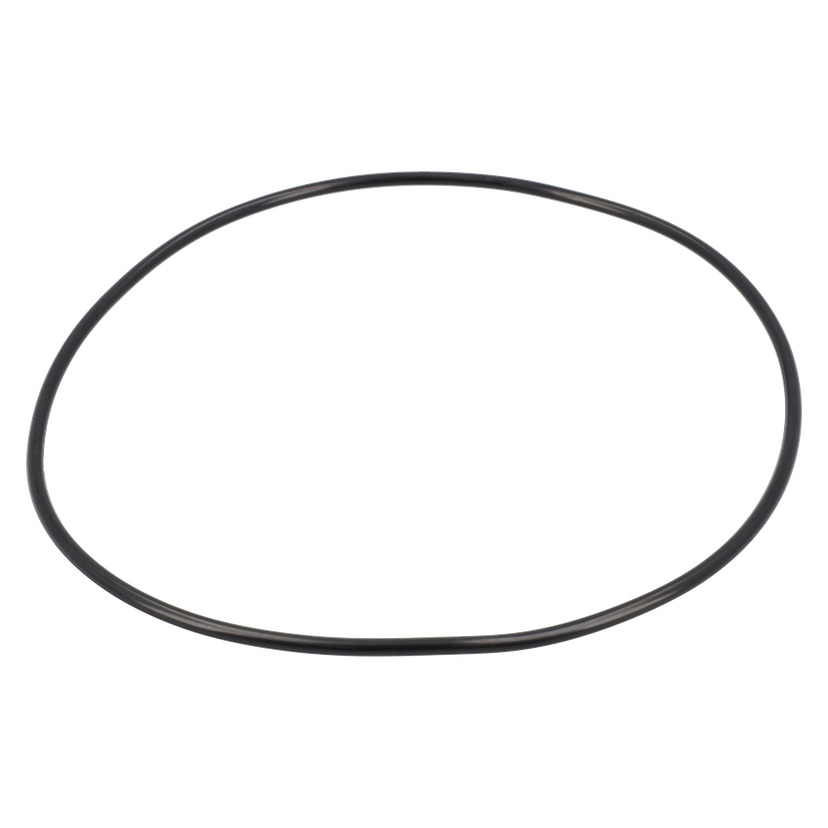 O-ring Pumphus