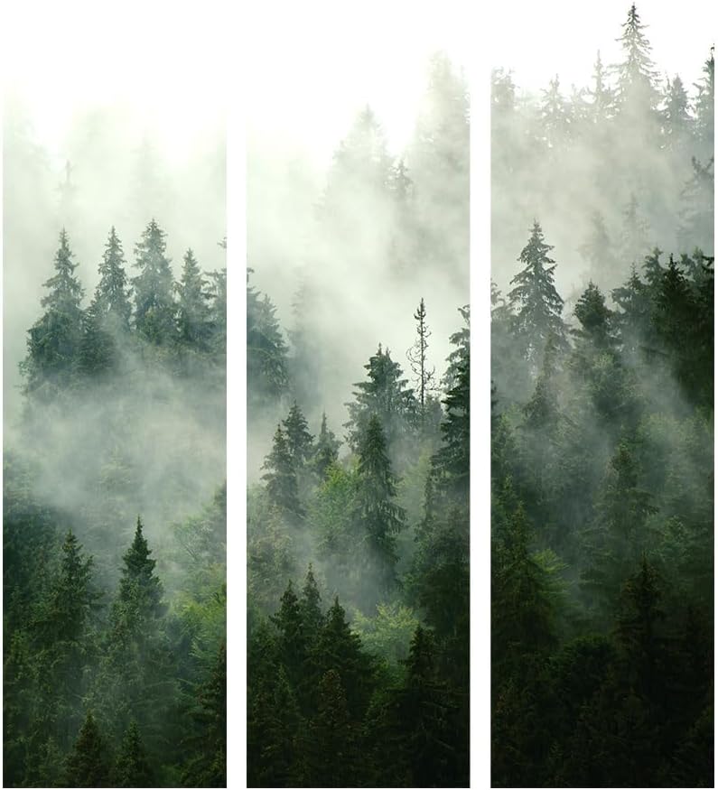 murando - Paravent Innen Raumteiler Holz Wald Landschaft Nebel 135x172 cm 3-teilig Japanische Trennwand Raumtrenner Room Divider Mobiler Sichtschutz Spanische Wand Raum Abtrennung Japan c-B-0443-z-b
