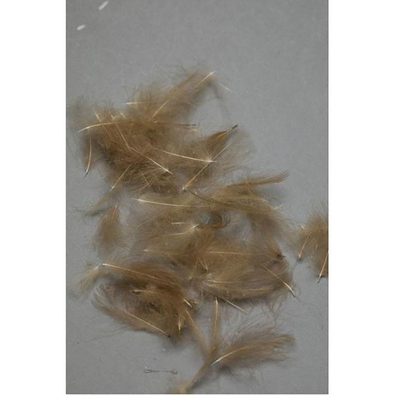 Cul De Canard Fly Scene Feathers 1G