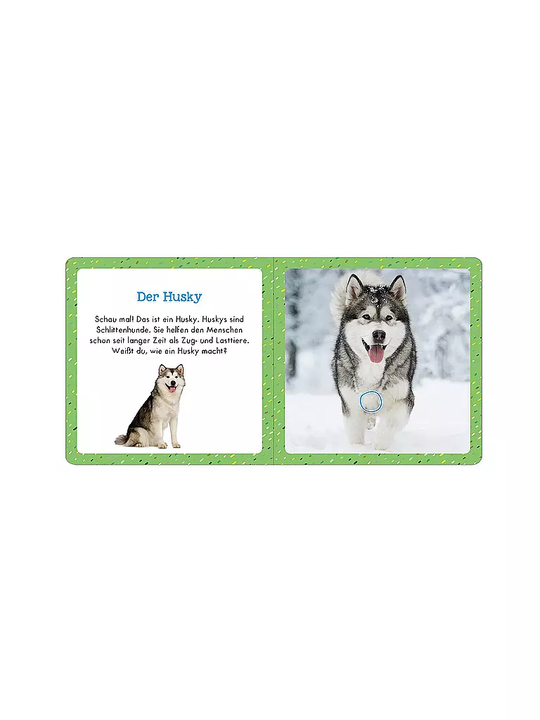 ARS EDITION VERLAG Soundbuch für Klitzekleine - Tiere im Winter keine Farbe