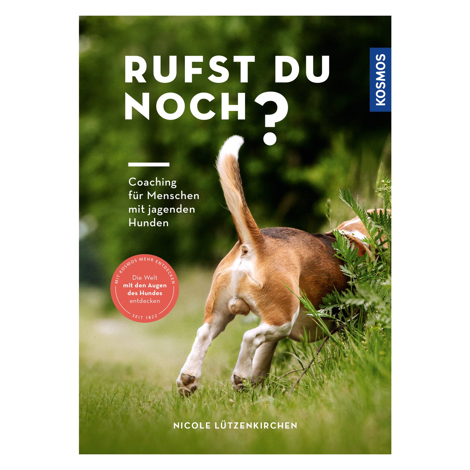 Rufst du noch? Coaching für Menschen mit jagenden Hunden