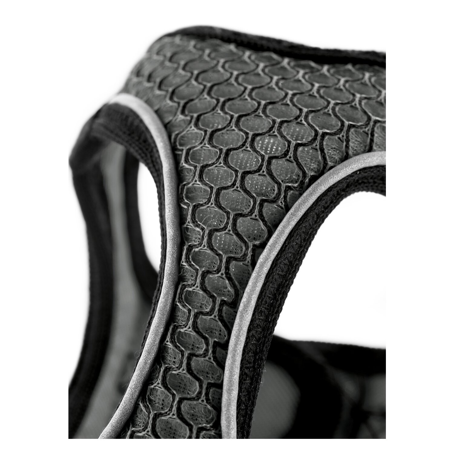 HUNTER Geschirr Hilo Comfort  - anthrazit