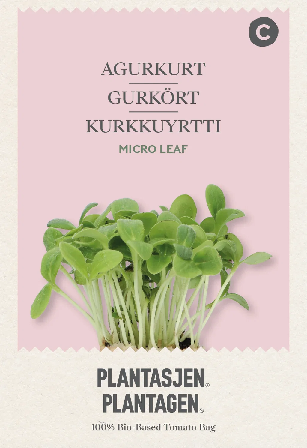 Borago officinalis Agurkurt - Mikrogrønt