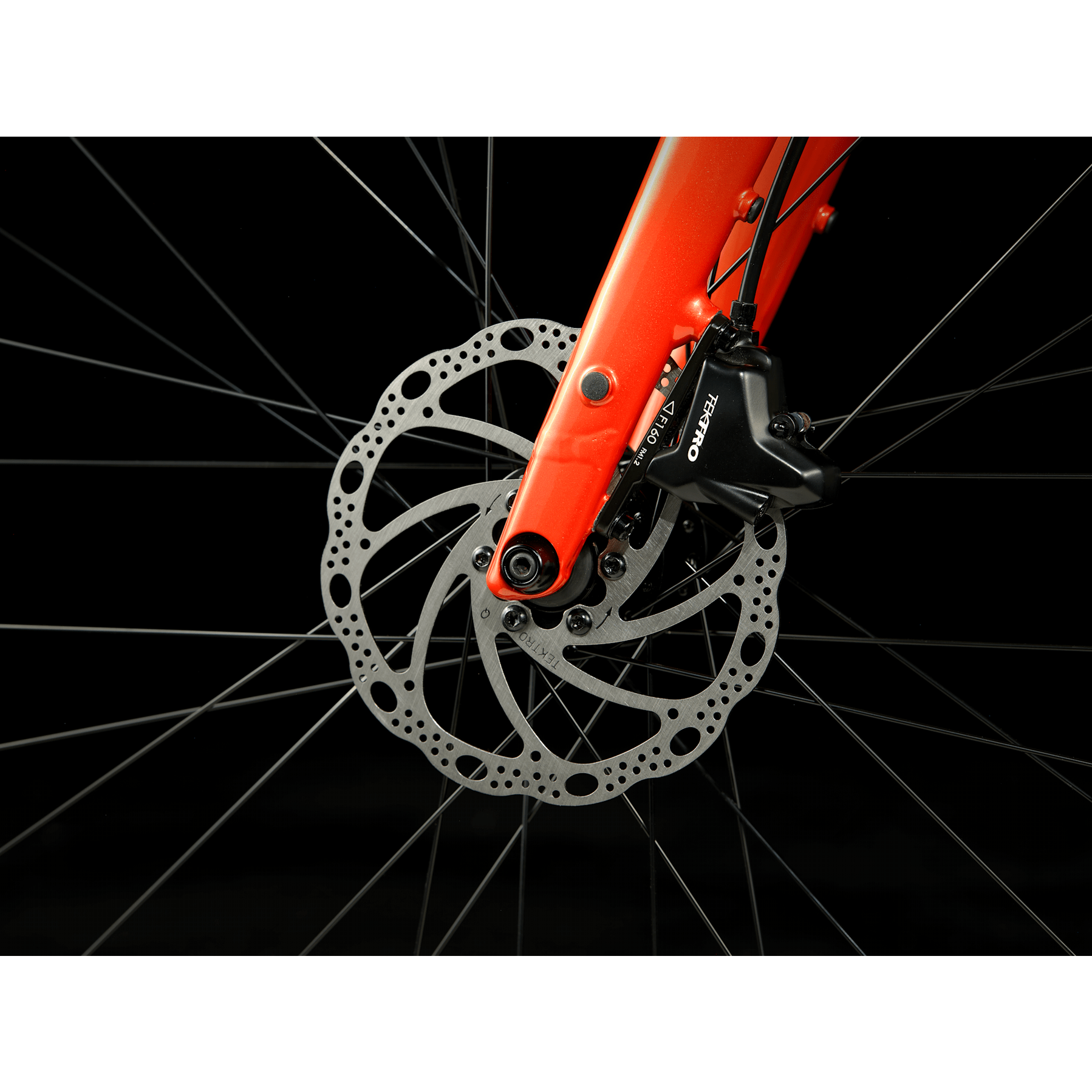 Trek FX 2 Gen 4 2025