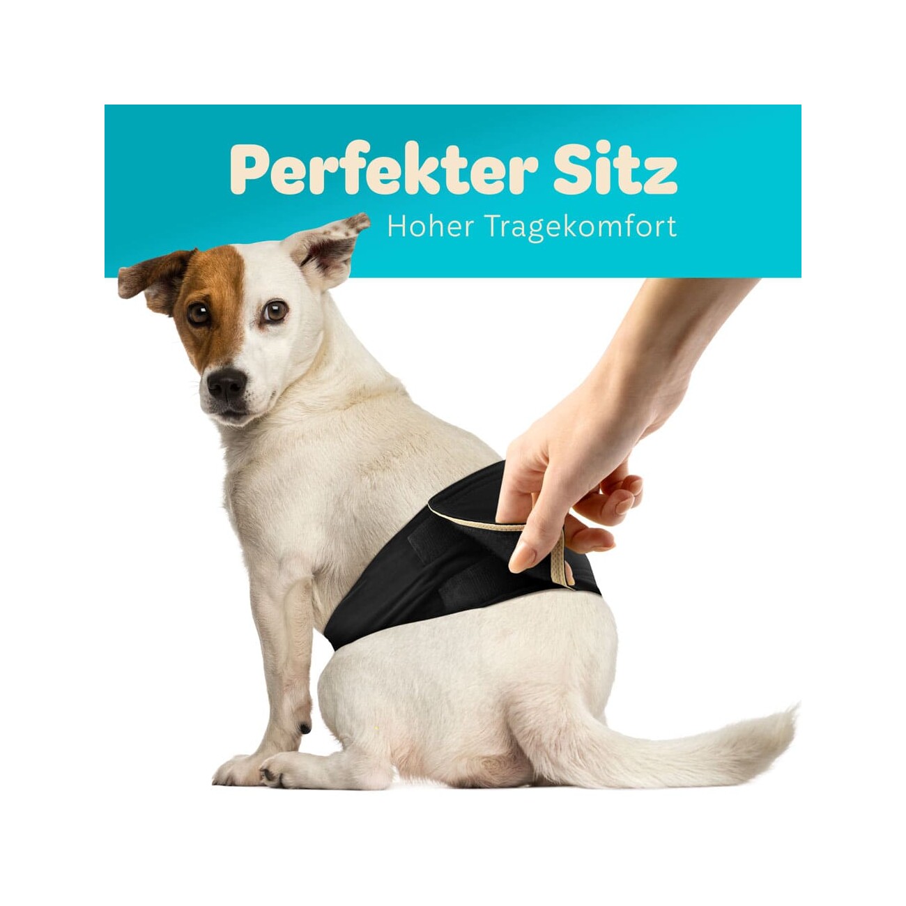 HUND IST KÖNIG Hundewindeln für Rüden [3 STK] Saugstarke Hundewindeln Rüde | Bequeme Hunde Windeln bei Inkontinenz S